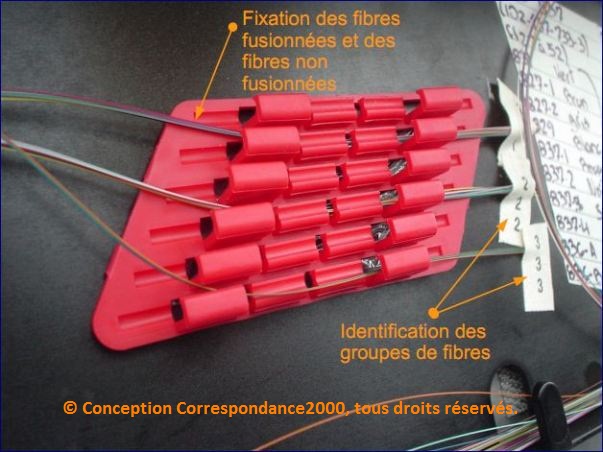 Fixation des fibres optiques